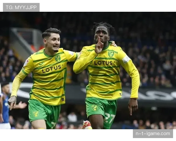 诺维奇球迷失望情绪高涨，球队表现引发深度担忧