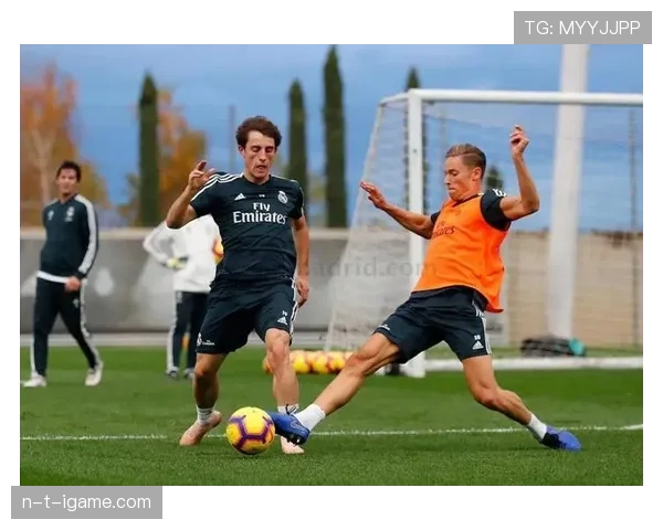 亨克新赛季阵容大革新，剑指联赛冠军