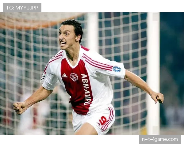 伊布职业生涯解析